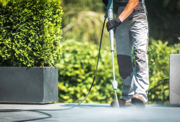 Animal Enclosure Cleaning in Barboursville, WV